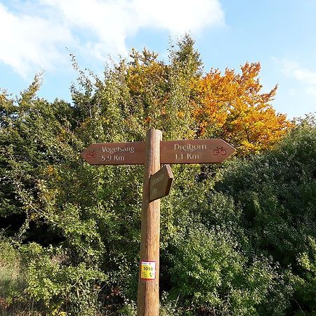 Poehl Am Nationalpark Eifel Lägenhet Schleiden Exteriör bild