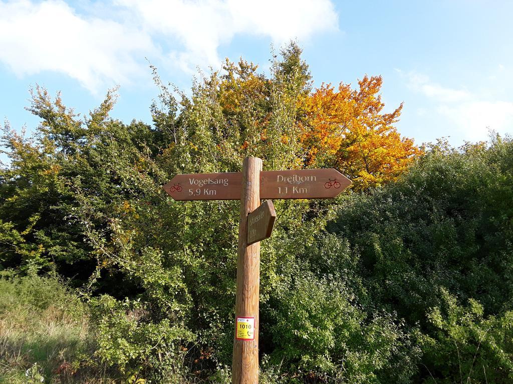 Poehl Am Nationalpark Eifel Lägenhet Schleiden Exteriör bild