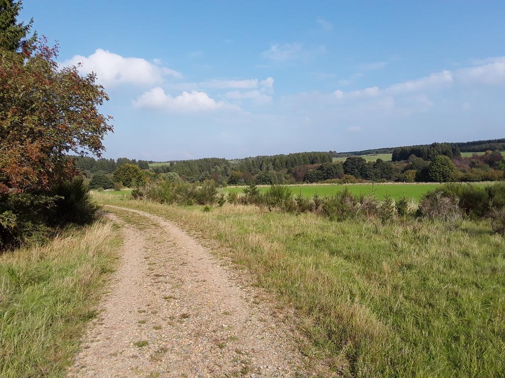 Poehl Am Nationalpark Eifel Lägenhet Schleiden Exteriör bild