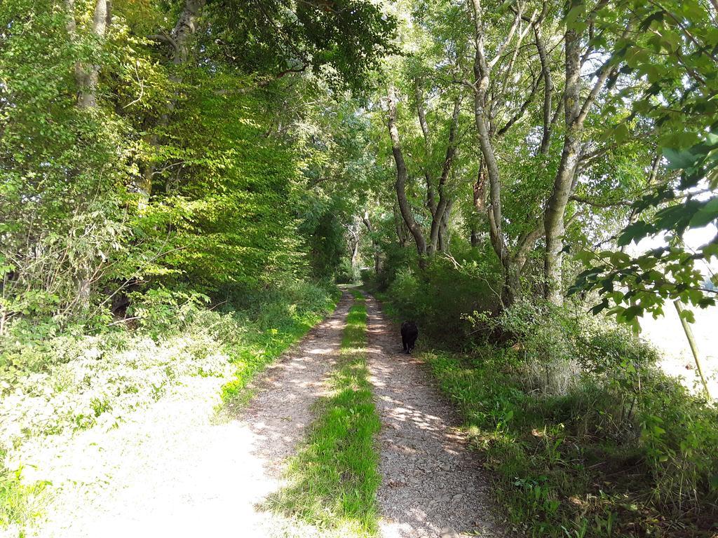 Poehl Am Nationalpark Eifel Lägenhet Schleiden Exteriör bild