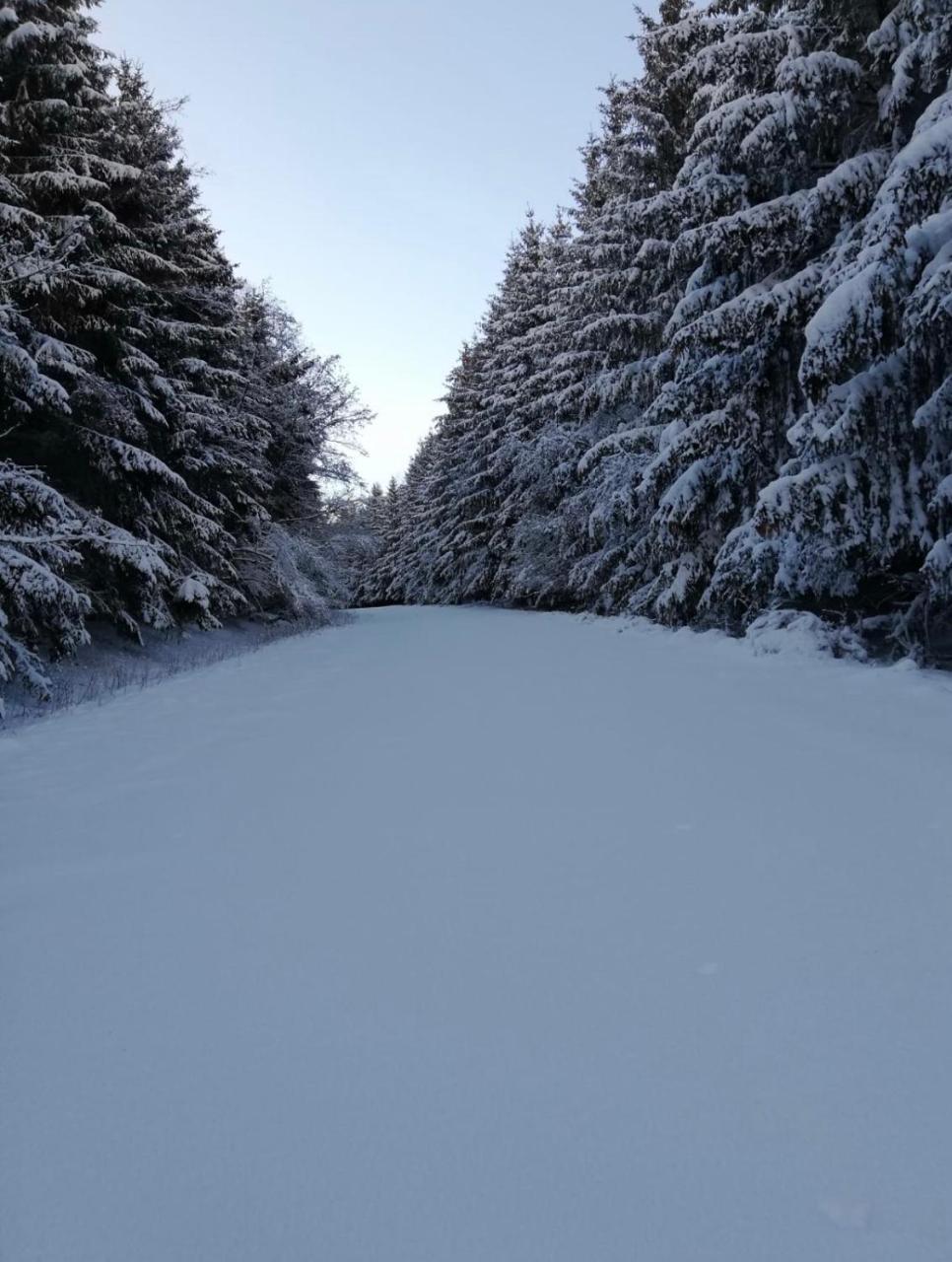 Poehl Am Nationalpark Eifel Lägenhet Schleiden Exteriör bild